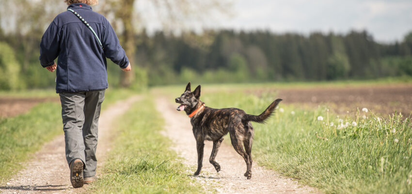 AdobeStock_142533002-2k