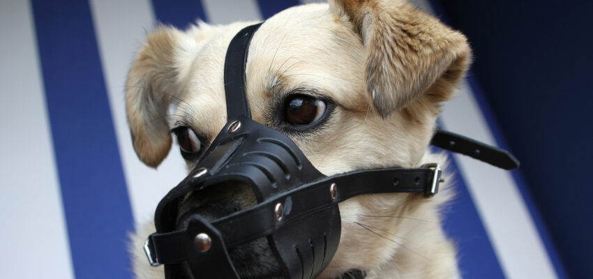 AdobeStock_27508484-2k