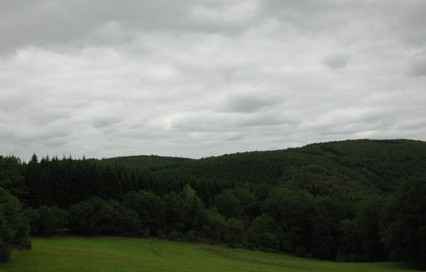 diepert-landschaft-2