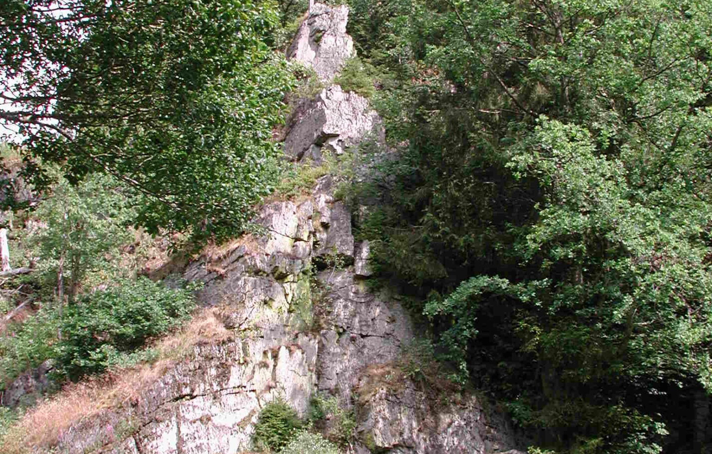 espeler-eulenstein-2