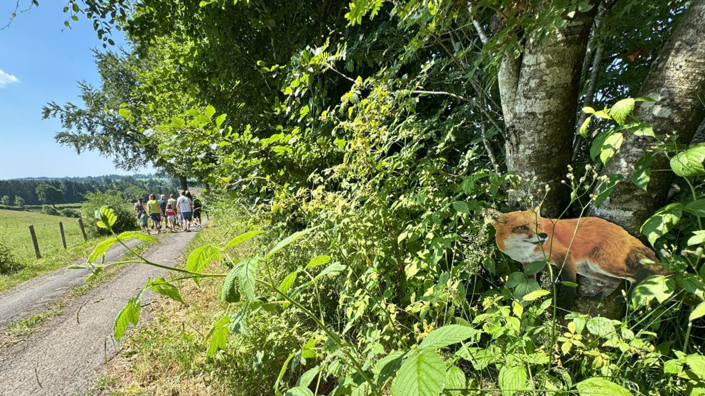 hecken-erlebnisweg-wirtzfeld-bild