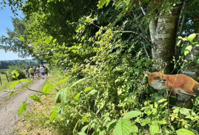hecken-erlebnisweg-wirtzfeld-bild