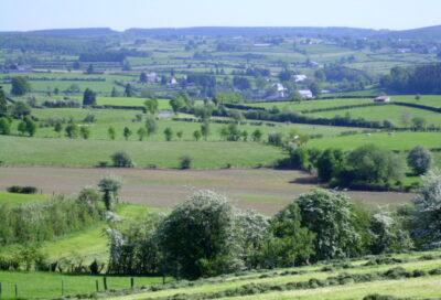 heckenlandschaft-bild-1