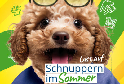 IAWM 06_Insta Sommerschnupper