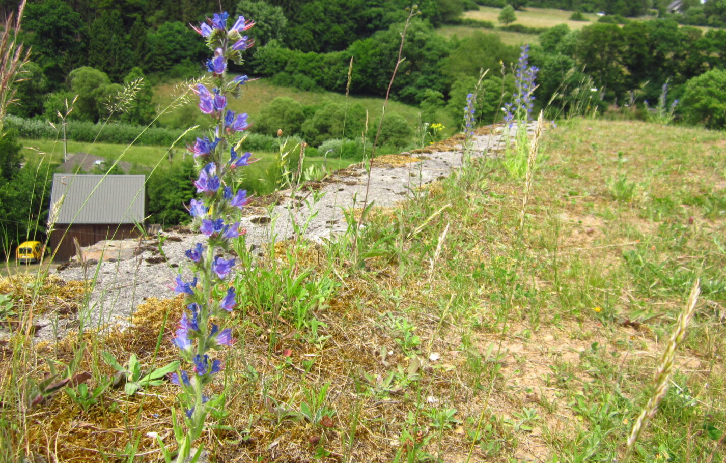 ouren-burgruine-2