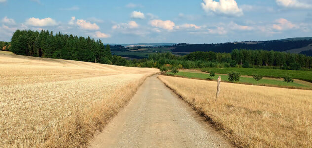 placeholder-cards-big