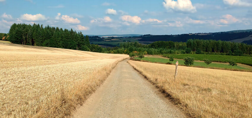 placeholder-cards-big