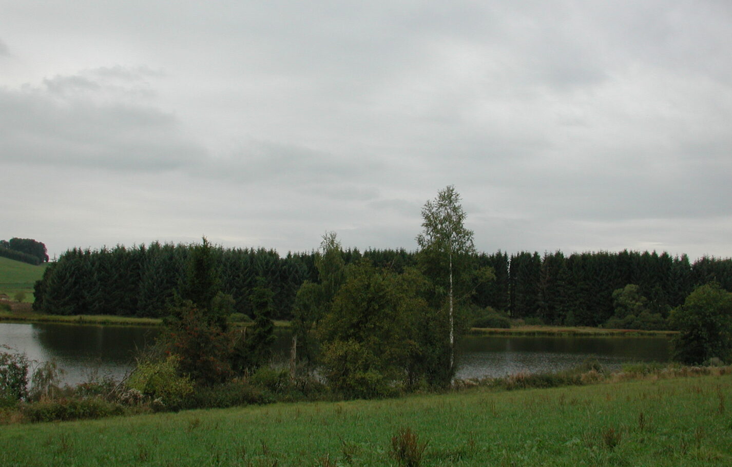 thommen-weiher-1