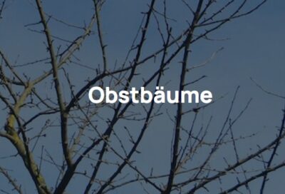 Titelbild