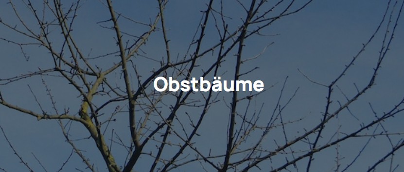 Titelbild