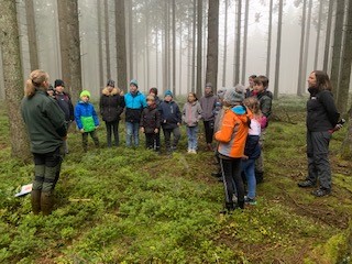 Waldbesuch-2022-1