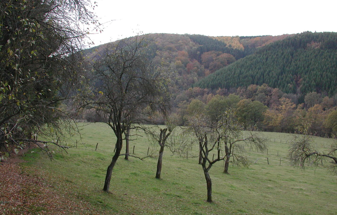 weidig-landschaft