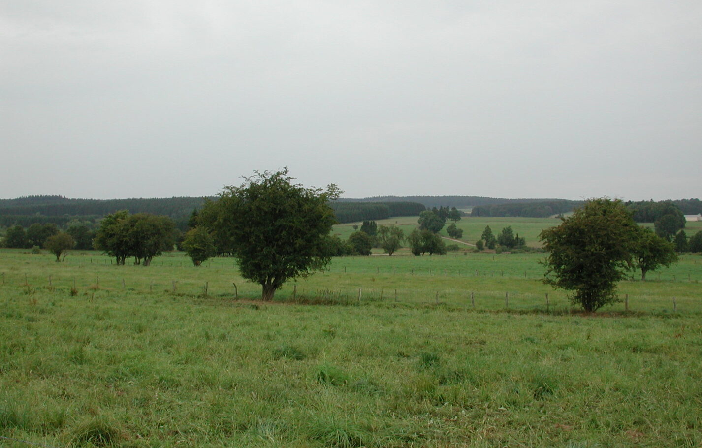 weisten-landschaft-1