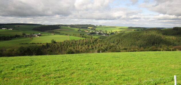 weweler-landschaft-3